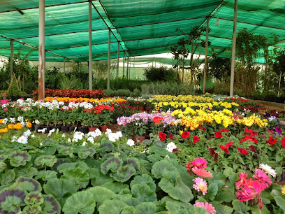 Alqamra Nursery - Az Zulfi - +966 54 124 2555