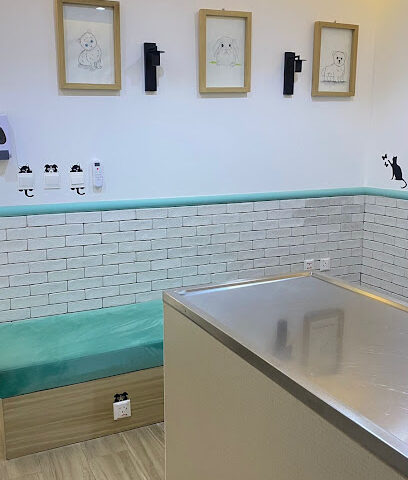 ALPHA PET CLINIC عيادة الفابت البيطرية الأولية - Riyadh - +966 55 388 2290