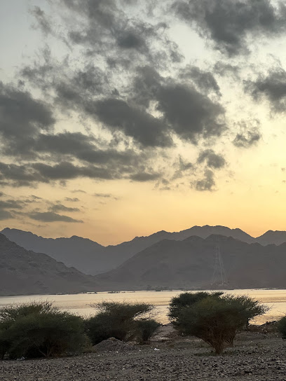 سد الغابة - Saudi Arabia|Al Madinah Al Munawwarah 42746|JGP8+HVV