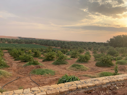 Albabtain Farm - المشاعلة - +966 50 805 0305