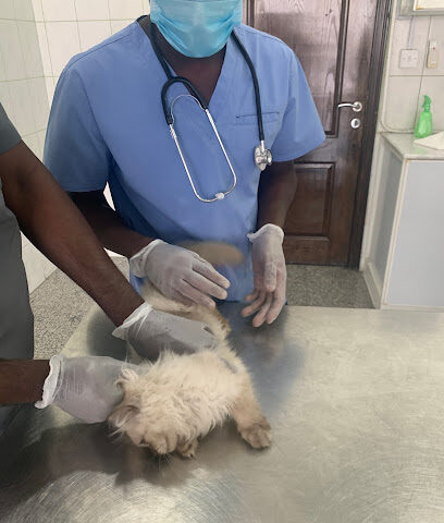 Khobar Veterinary Clinic - Dammam - +966 55 740 7289