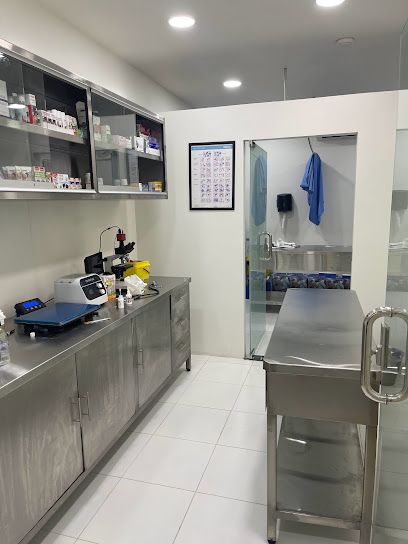 Essential Care Clinic الرعاية اللازمة البيطرية - Saudi Arabia|Dhahran 34257|Aljamiah District|8204 Ibn Batuta Street