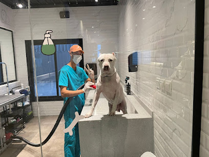 Veterinary and Pets Clinic عيادة بيطار ومستائنس البيطرية V&P - Jeddah - +966 55 662 2977