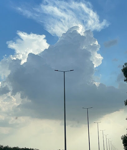 أشياب العرفاء - Taif -