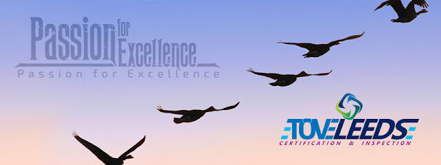 Tove Leeds Certification and Inspection - Riyadh - +966 56 353 9517