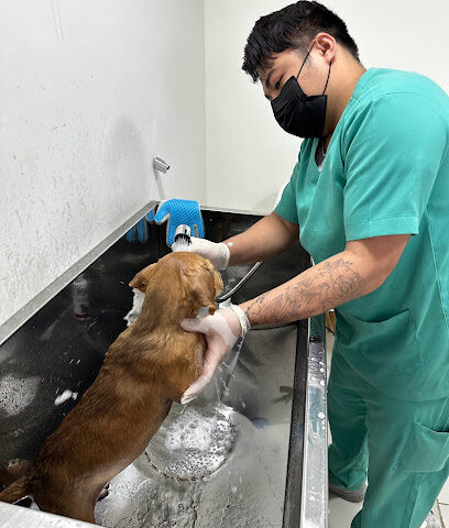 عيادة نبض الرعاية البيطرية | Pulse Care Pet Clinic - Riyadh - +966 59 750 0419