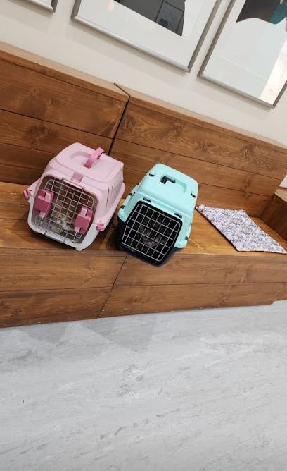 عيادة اليف البيطرية Aleef Vet clinic - Riyadh 11564