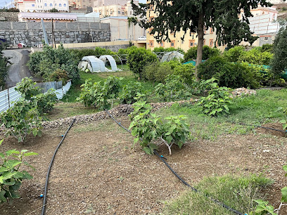 مزرعة شُعب العين - Al Bahah -