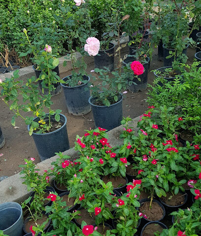 نمارك - Yanbu - +966 57 012 9901