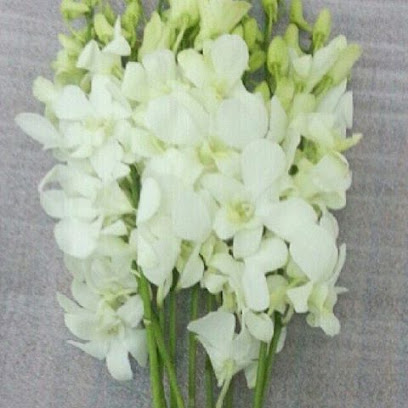 رومنس روز - Najran - +966 50 818 0813