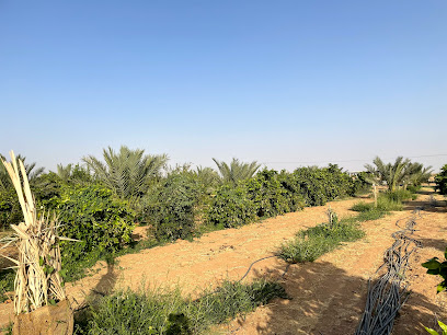 مزرعة عاليات القصيم - Uyun Al Jawa - +966 50 571 0123