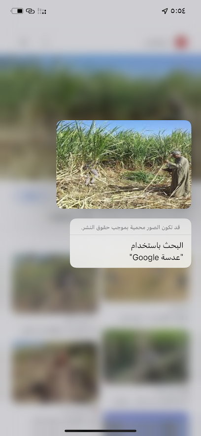 مزرعة واستراحة سلطان معشي - Saudi Arabia|Ummal Noor Village 84319|VVQM+GP