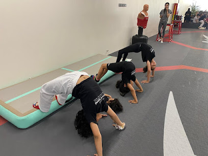 Above & Beyond Saudi Martial Art - Riyadh - +966 55 506 2878