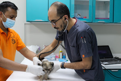 عيادة امان دلتا البيطرية - Riyadh - +966 55 755 4379