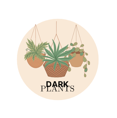 DarkPlants - Riyadh - +966 56 022 9003