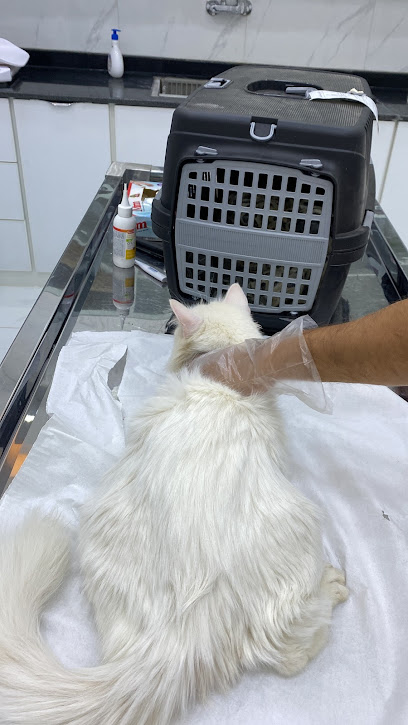 عيادة الحيوان الجميل البيطرية - Saudi Arabia|Hafar Al Batin 39953|Al Khalidiyah|الامير محمد بن فهد