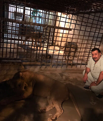 Tahliah International Veterinary Clinic عيادة التحلية البيطرية العالمية - Jeddah - +966 12 669 5554