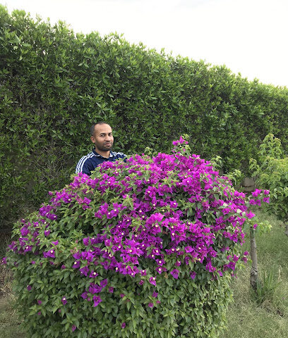 Mohammad Mosharaf - Khamis Mushait -