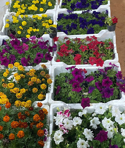 مشتل ريف ساجر - Sajir - +966 50 701 6738