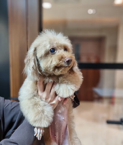 Happy Pet Vet Clinc - Riyadh - +966 54 991 4113