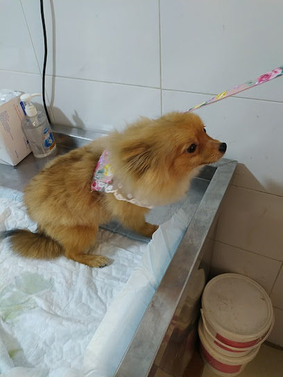 صيدلية الرعاية والعلاج البيطرية ‎ Vet Care and Cure‎ - Saudi Arabia|حي الخضراء