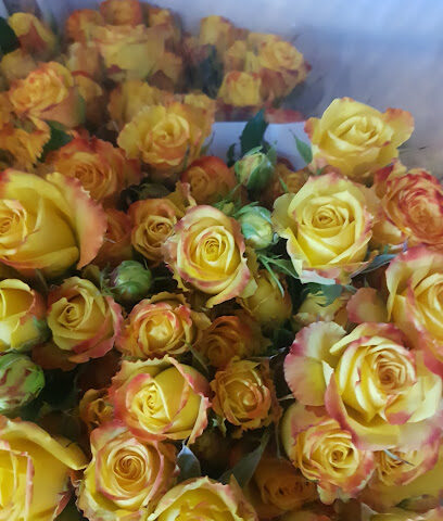 بتلات العنقود - Sabya - +966 55 153 3516