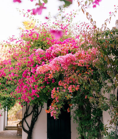الحمر - Buraydah - +966 16 324 3266