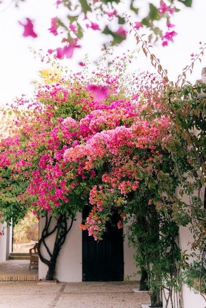 الحمر - Saudi Arabia|Buraydah 52354|Al Jardah|3933 King Faisal Rd