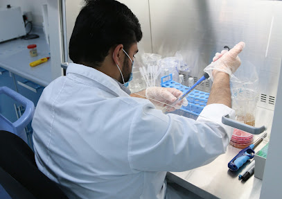 مختبرات الجبيل العالمية , Jubail International Laboratories - Al Jubail - +966 13 341 1110
