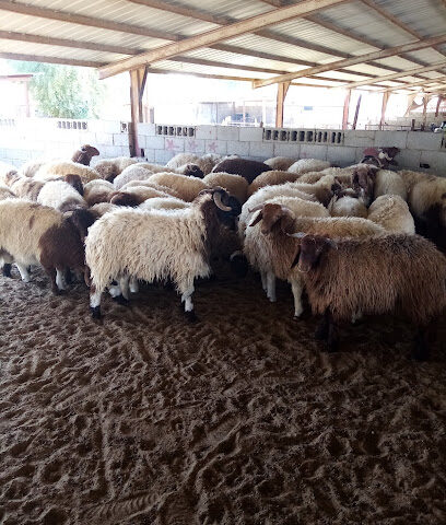 مغسلة الفجر - Dammam -