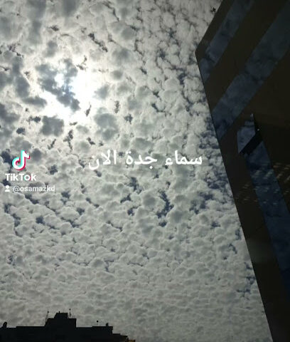مؤسسة المهند للاجهزة الطبيه والمخبريه - Jeddah - +966 12 657 3255