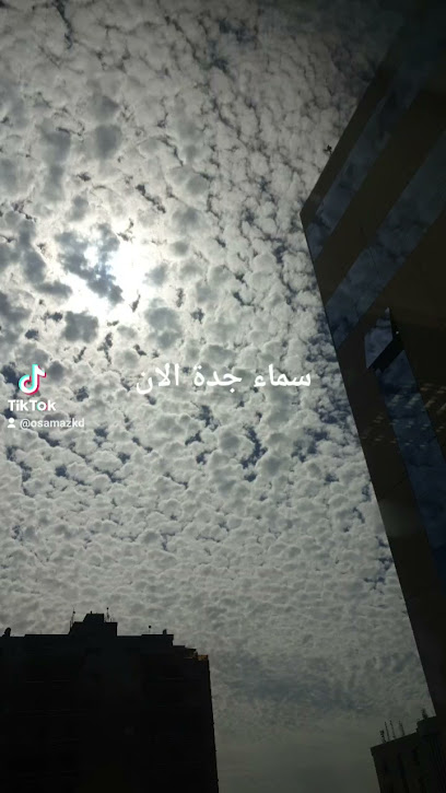 مؤسسة المهند للاجهزة الطبيه والمخبريه - Saudi Arabia|Jeddah 21313|AL SHRAFIA