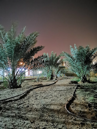 مشتل الرحمانية - Saudi Arabia|Al Hazim 16341|55M5+CG