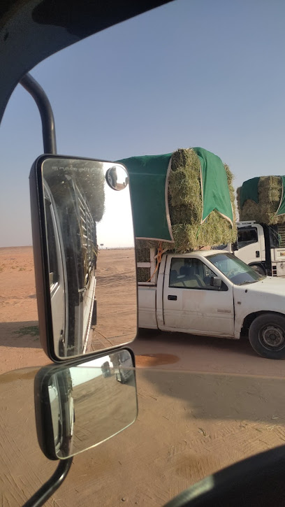 Salama Cooperative Insurance Company شركة سلامة للتأمين التعاوني - Saudi Arabia|Al Duwadimi|As Sinayyiah|King Khalid Road