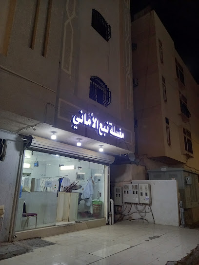 مغسله نبع الاماني - Al Madinah Al Munawwarah 42315