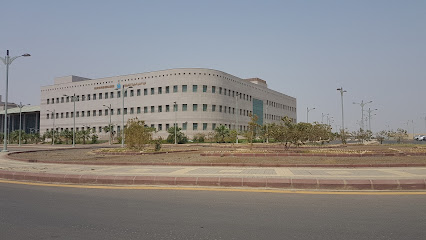 Faculty of Applied Medical Sciences, University of Jazan - Jazan - +966 17 321 7789