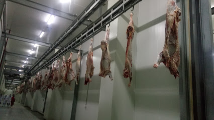 مشروع الاضاحي المجزره رقم ( 4 ) الجمال والابقار - Mecca - +966 50 700 4158