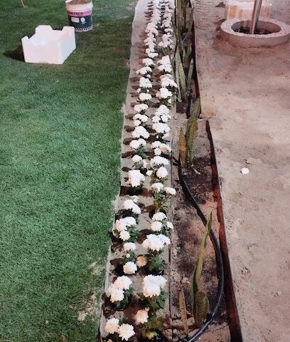 حديقة السيد ضياء - Al Qatif - +966 54 854 9092