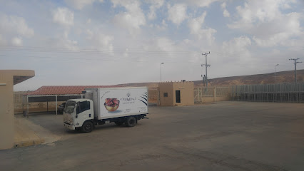 مصنع العاليات للتمور - Az Zulfi - +966 53 711 1151