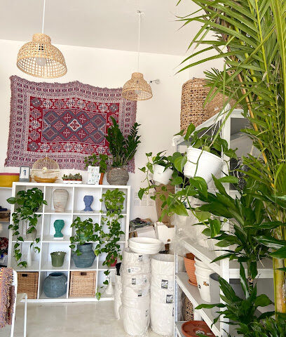 مؤسسة نبات لبيع النباتات الداخلية - Jazan - +966 58 260 5750