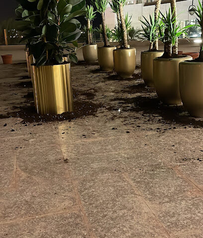 مؤسسة ورقة نبات التجارية - Abu Arish - +966 53 099 2385