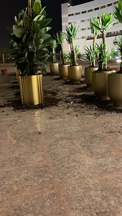 مؤسسة ورقة نبات التجارية - Abu Arish 84718،