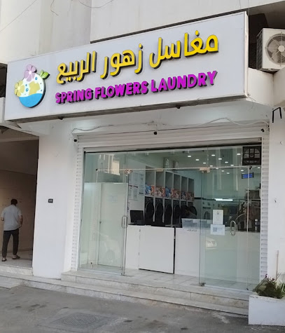 Spring Flowers Laundry | مغاسل زهور الربيع - Khamis Mushait - +966 54 929 4954
