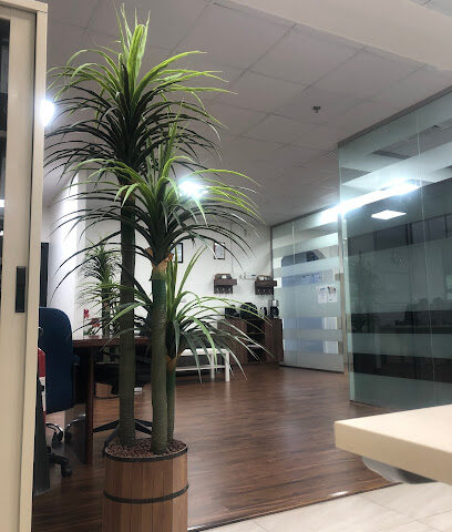 Alkafaa Limited Company شركة الكفاءة المحدودة - Dammam - +966 13 826 0994