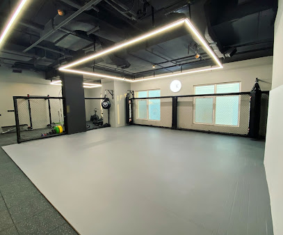 Fighter Zone MMA نادي منطقة المقاتل - Dammam - +966 50 260 2689