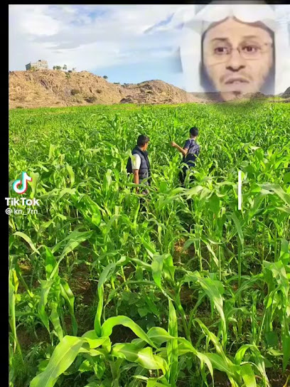 عادل صابر - Saudi Arabia|Al Madinah Al Munawwarah 42392|7289 الثائب بن هشام DMWG7289 4157، حي|Ar Ranuna