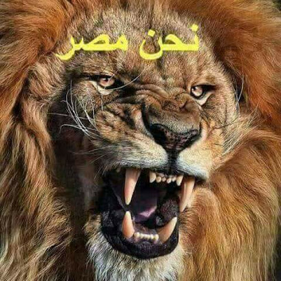 Lawyer Mohammed Atwi Office - Tabuk - +966 55 536 8132