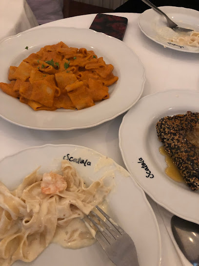 Scatola - Saudi Arabia|Al Khobar 34227|Al Rakah Al Janubiyah|2954 Musa Ibn Nussair St