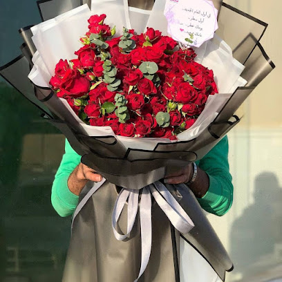 مغسلة خطوط الغسيل - Najran - +966 9200 13373