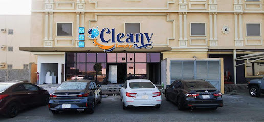 Cleany Laundry كلينى لاندرى - Jazan - +966 55 580 4799